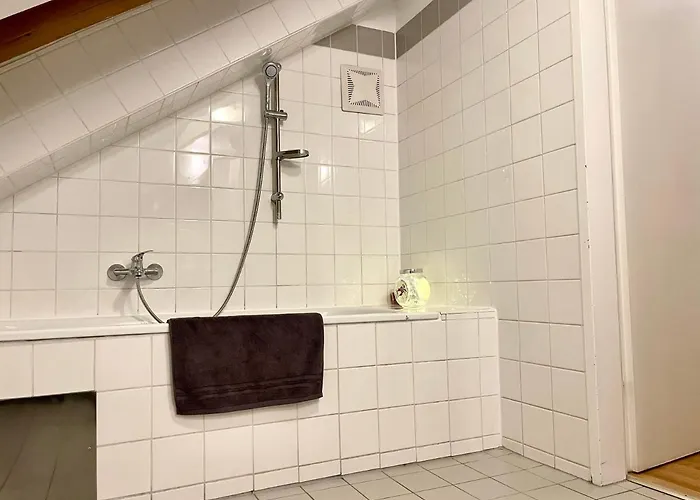Klimatisiertes, Ruhiges Dachgeschoss Cityapartment Im Zentrum Wiens Apartament
